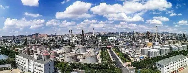 中國石油新型醫用防護型長效抗菌聚丙烯纖維料投放市場！