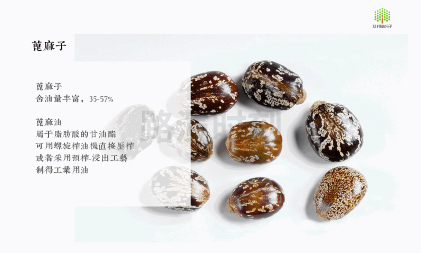 特種高溫尼龍市場需求持續攀升，細分賽道國產替代逐步推進